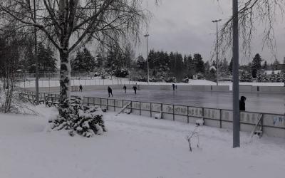 talvinen kuva luistelukaukalosta jossa luistelijoita. Etualalla jäinen koivu