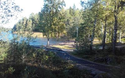 metsäinen uimaranta