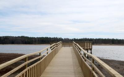 Kasarminlahden luontolava