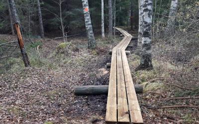 Hiun ulkoilureitin pitkospuita