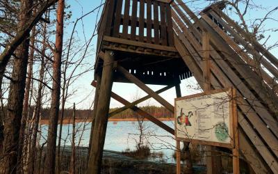 Hiunjärven lintutorni