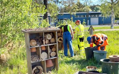 Kuvassa rakennetaan ötökkähotelleja kaupungin pellon laitaan. Työmiehiä, työkaluja sekä valmiita ötökkähotelleja.