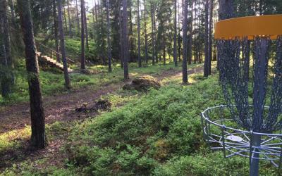 frisbeegolfkori keskellä mäntymetsään taustalla kuntoportaat