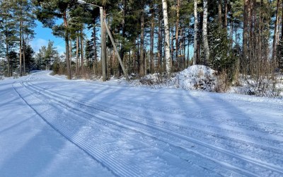 hiihtoladut edessä ja taustalla metsää