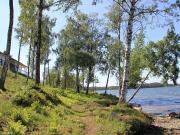 Janhuan alueella rannassa kulkee mukavia polkuja