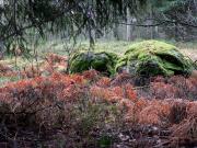 Hiun luontopolun näkymiä