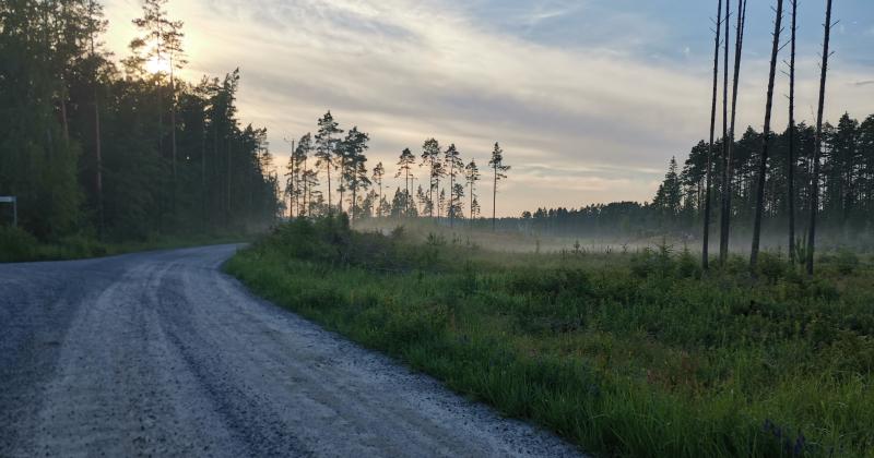 kuvassa soratie ja metsää