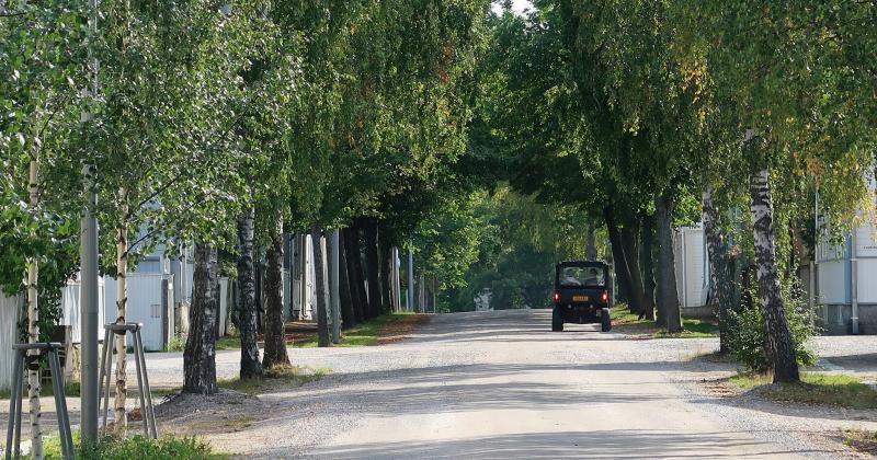 Kuvassa mopauto puutaloalueella. Tietä reunustavat suuret lehtipuut.