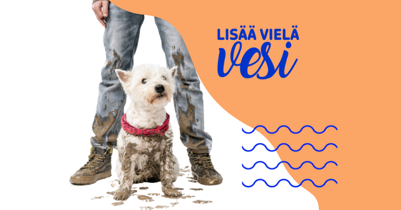 Kurainen koira ja housunlahkeet