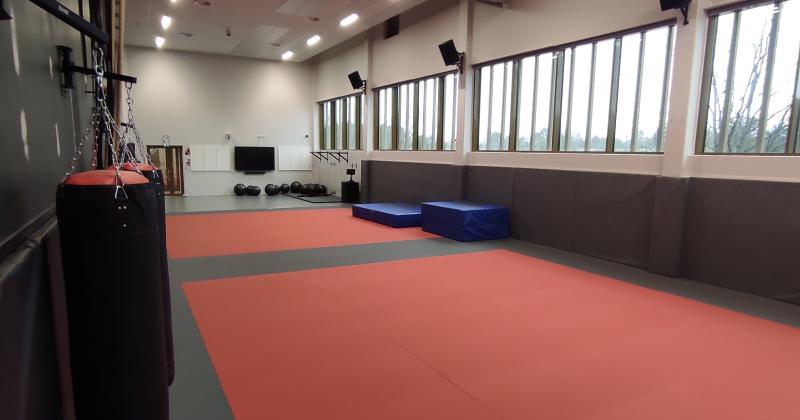 yleiskuva budosalista, lattia tatamia, taustalla ikkunat